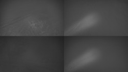 Sdružený snímek Bludný