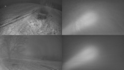 Sdružený snímek Bludný