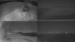 Sdružený snímek Bludný