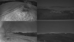 Sdružený snímek Bludný