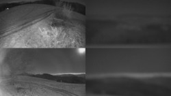 Sdružený snímek Bludný