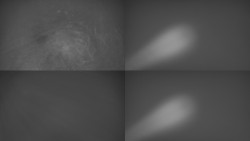 Sdružený snímek Bludný