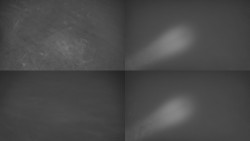 Sdružený snímek Bludný