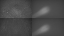 Sdružený snímek Bludný