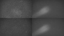 Sdružený snímek Bludný