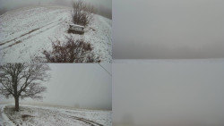 Sdružený snímek Bludný