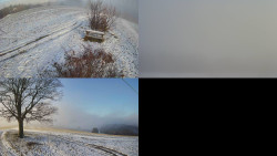 Sdružený snímek Bludný