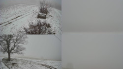 Sdružený snímek Bludný