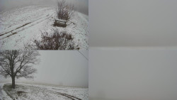 Sdružený snímek Bludný