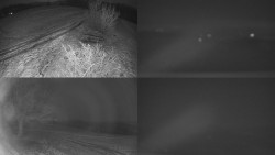 Sdružený snímek Bludný