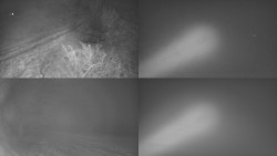 Sdružený snímek Bludný