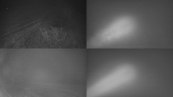 Sdružený snímek Bludný