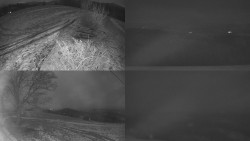 Sdružený snímek Bludný