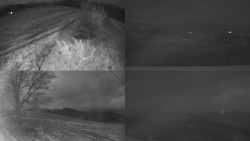 Sdružený snímek Bludný