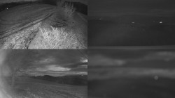 Sdružený snímek Bludný