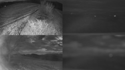 Sdružený snímek Bludný