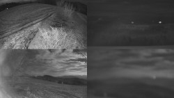 Sdružený snímek Bludný