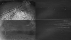 Sdružený snímek Bludný