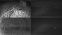 Sdružený snímek Bludný