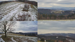 Sdružený snímek Bludný