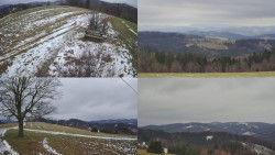 Sdružený snímek Bludný