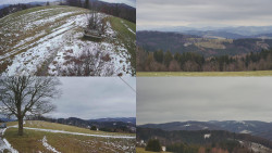 Sdružený snímek Bludný