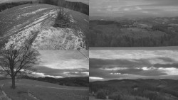 Sdružený snímek Bludný