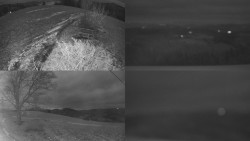 Sdružený snímek Bludný