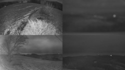 Sdružený snímek Bludný