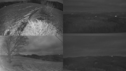 Sdružený snímek Bludný