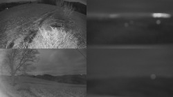 Sdružený snímek Bludný