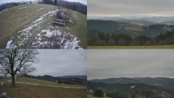 Sdružený snímek Bludný