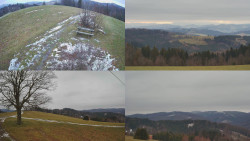 Sdružený snímek Bludný