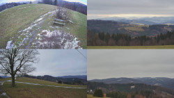 Sdružený snímek Bludný