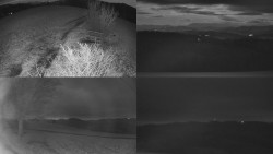 Sdružený snímek Bludný