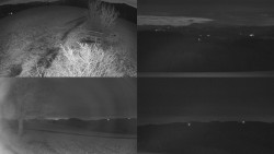 Sdružený snímek Bludný