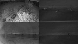 Sdružený snímek Bludný