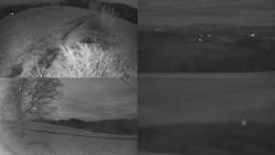 Sdružený snímek Bludný