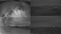 Sdružený snímek Bludný