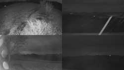 Sdružený snímek Bludný