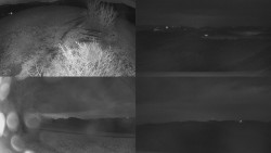 Sdružený snímek Bludný