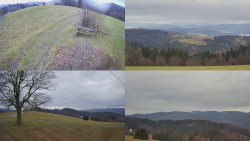 Sdružený snímek Bludný