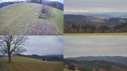 Sdružený snímek Bludný