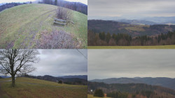 Sdružený snímek Bludný