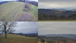 Sdružený snímek Bludný