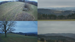 Sdružený snímek Bludný