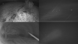 Sdružený snímek Bludný