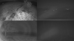 Sdružený snímek Bludný