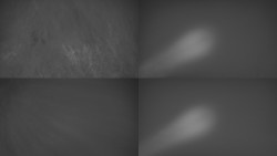 Sdružený snímek Bludný