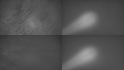 Sdružený snímek Bludný